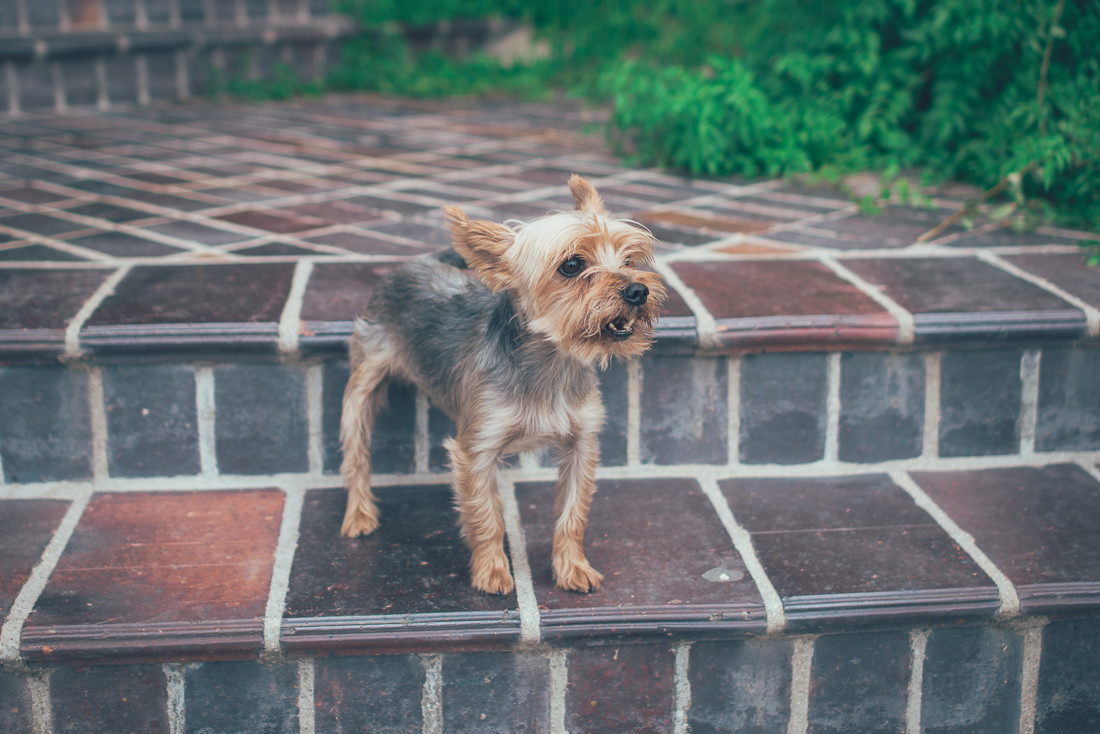 fotografo_bodas_madrid0005