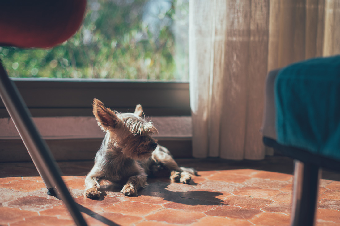 fotografo_bodas_madrid0046