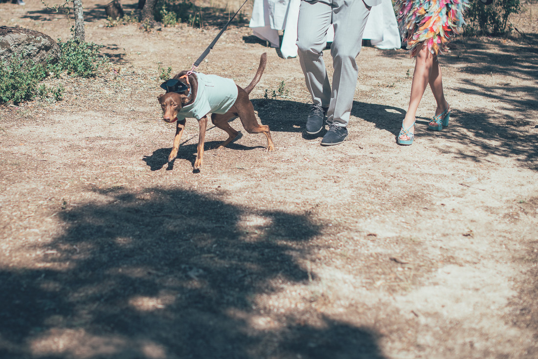 fotografo_bodas_madrid0231