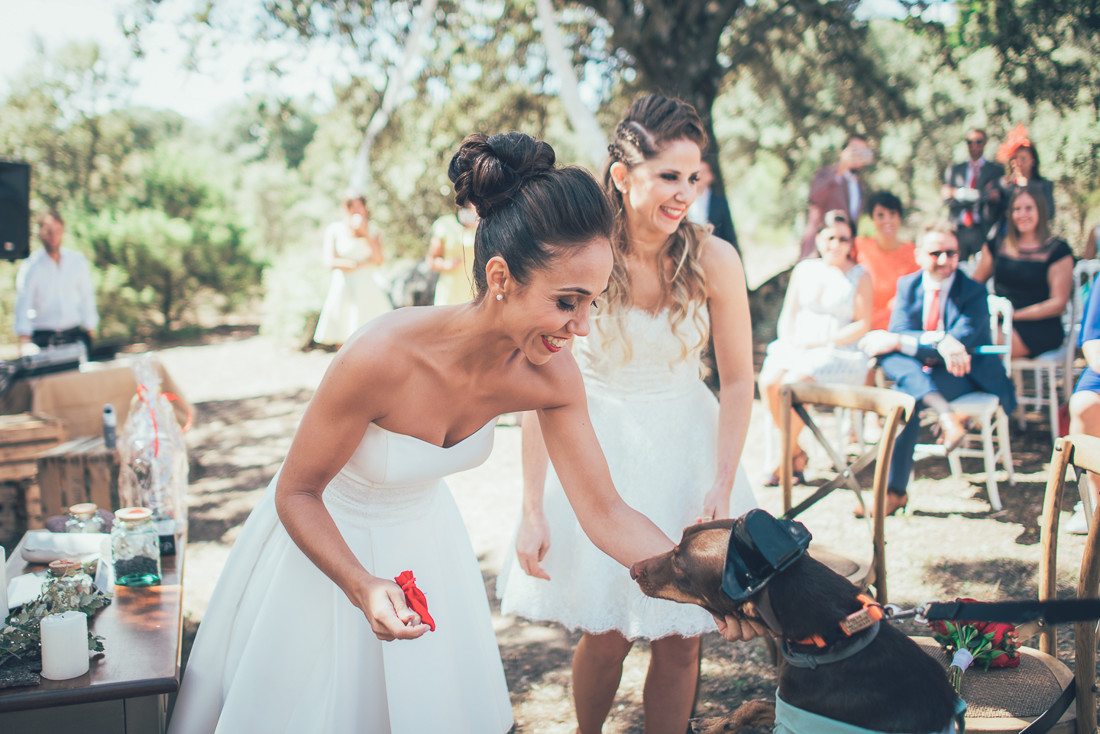 fotografo_bodas_madrid0233