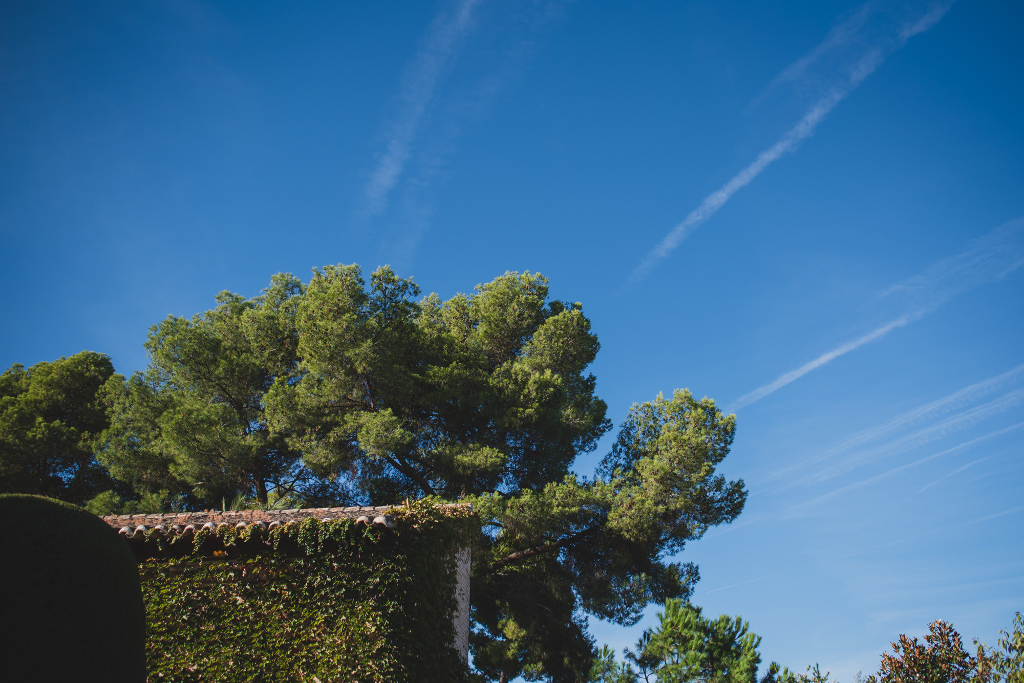 fotografos_boda_madrid_1383