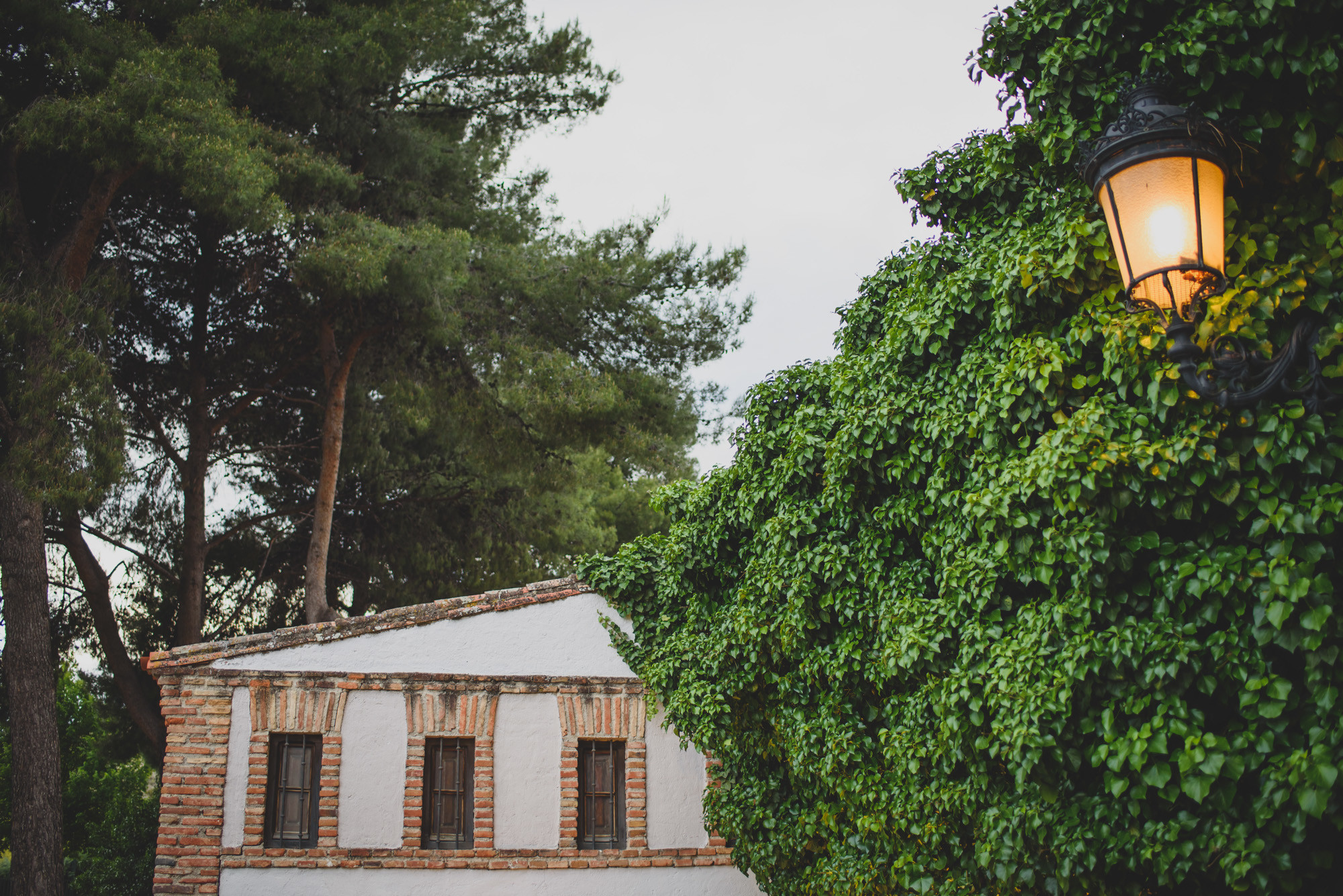 fotografos_boda_madrid_1232jj44279_b