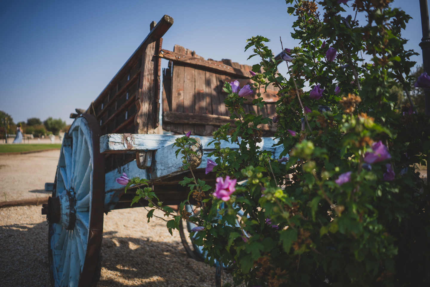 boda-finca-el-hormigal-fotografos-boda-madrid-3408