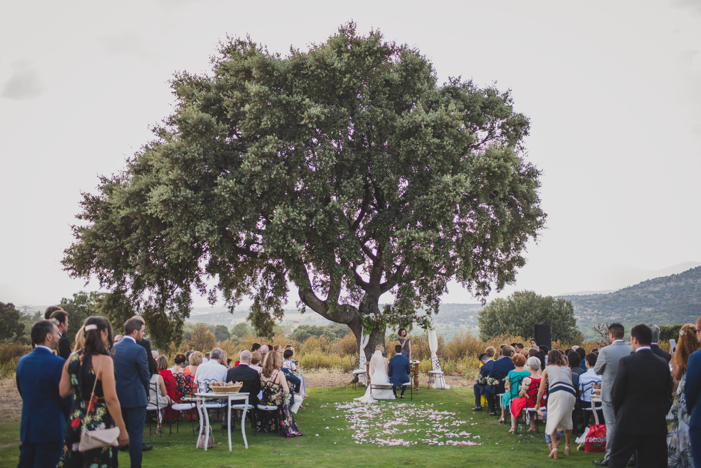 boda-finca-el-hormigal-fotografos-boda-madrid-3471