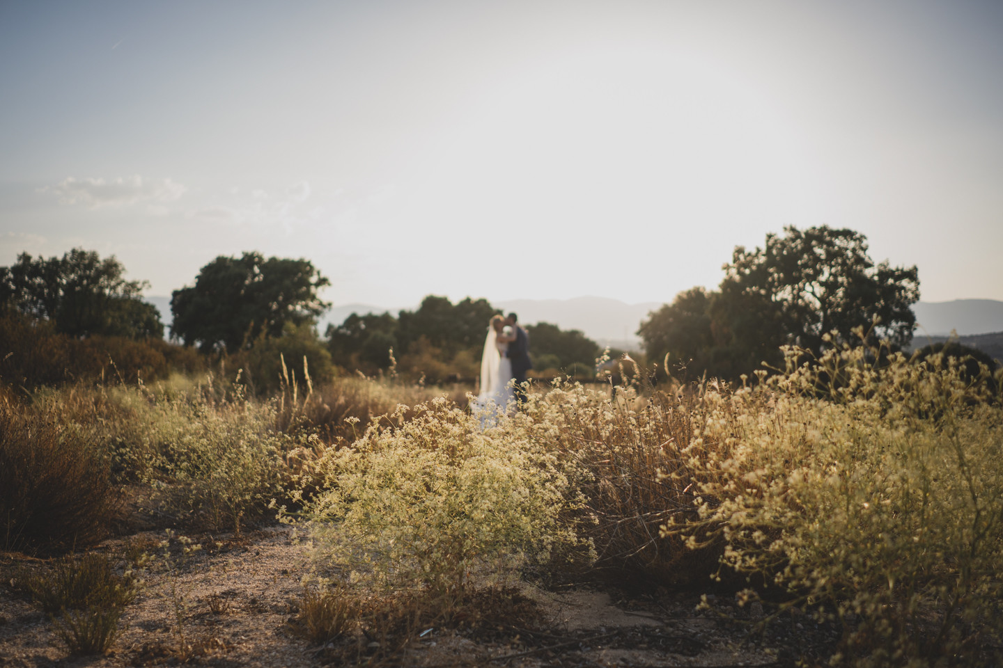 boda-finca-el-hormigal-fotografos-boda-madrid-3602