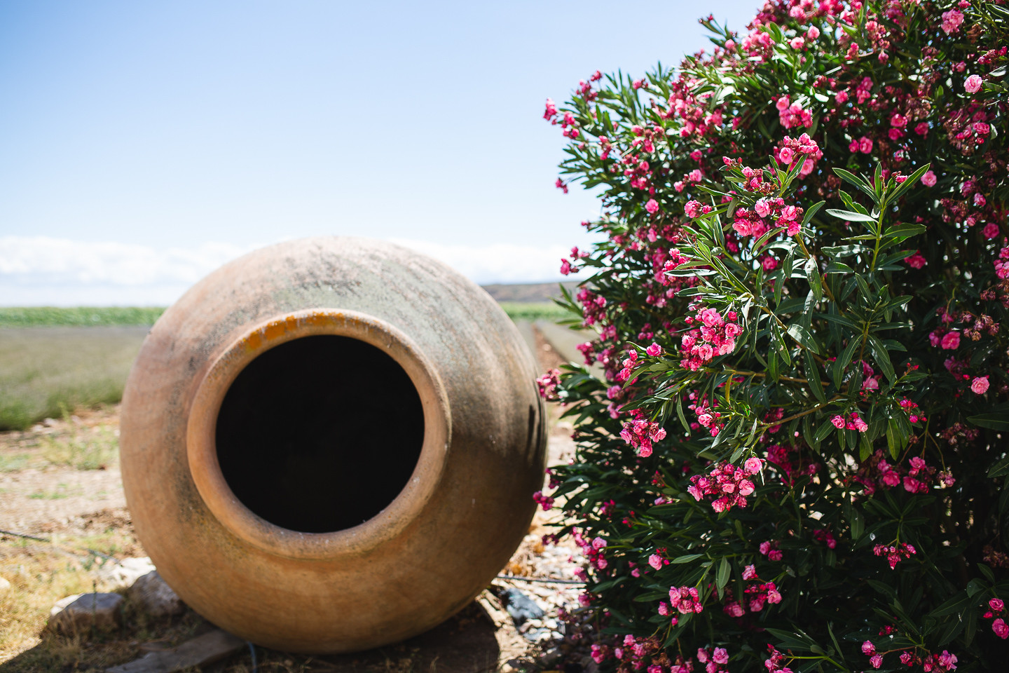 Fotografos-boda-madrid-0021