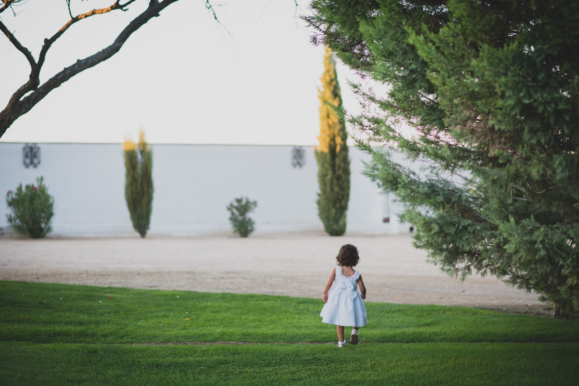 Fotógrafos Boda Madrid 0122