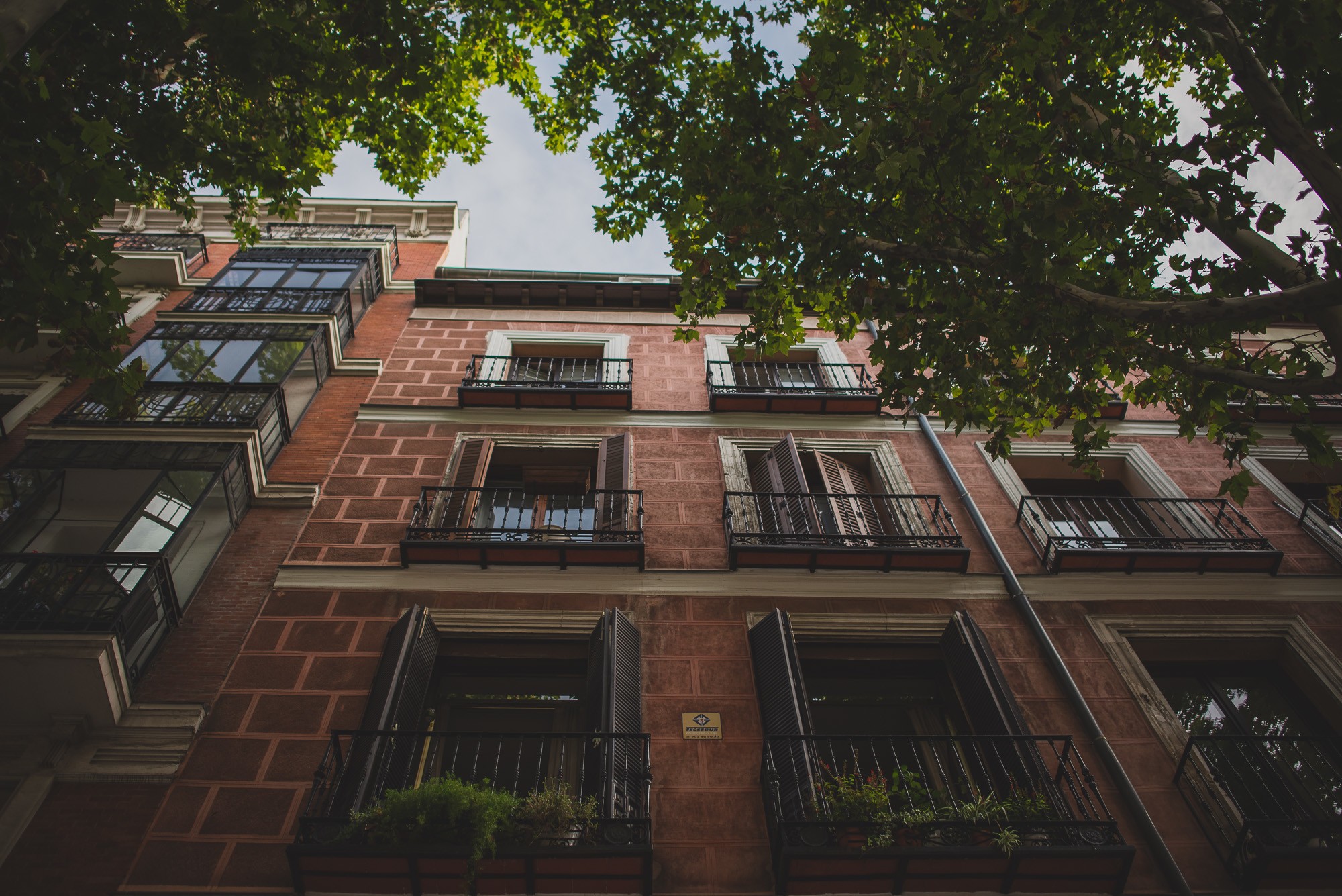 fotografos-boda-madrid-5456456463631_b