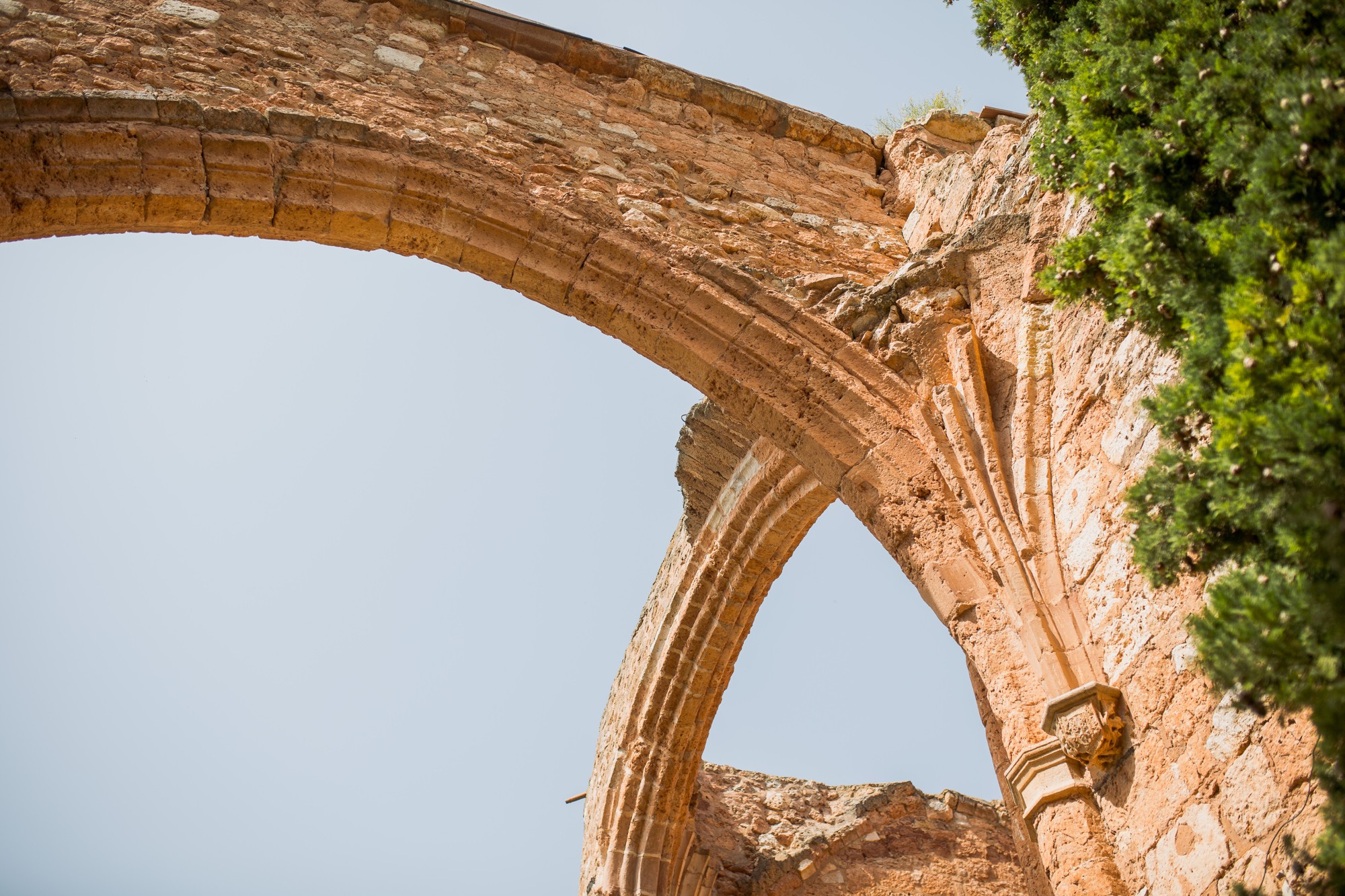 boda-claustros-ayllón-3575