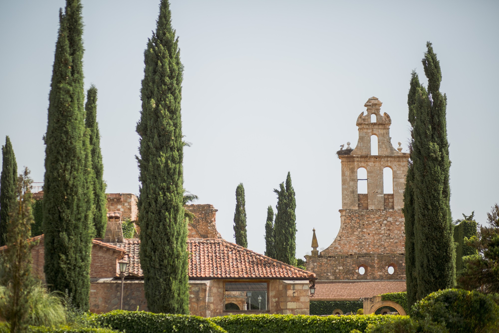 boda-claustros-ayllón-3580