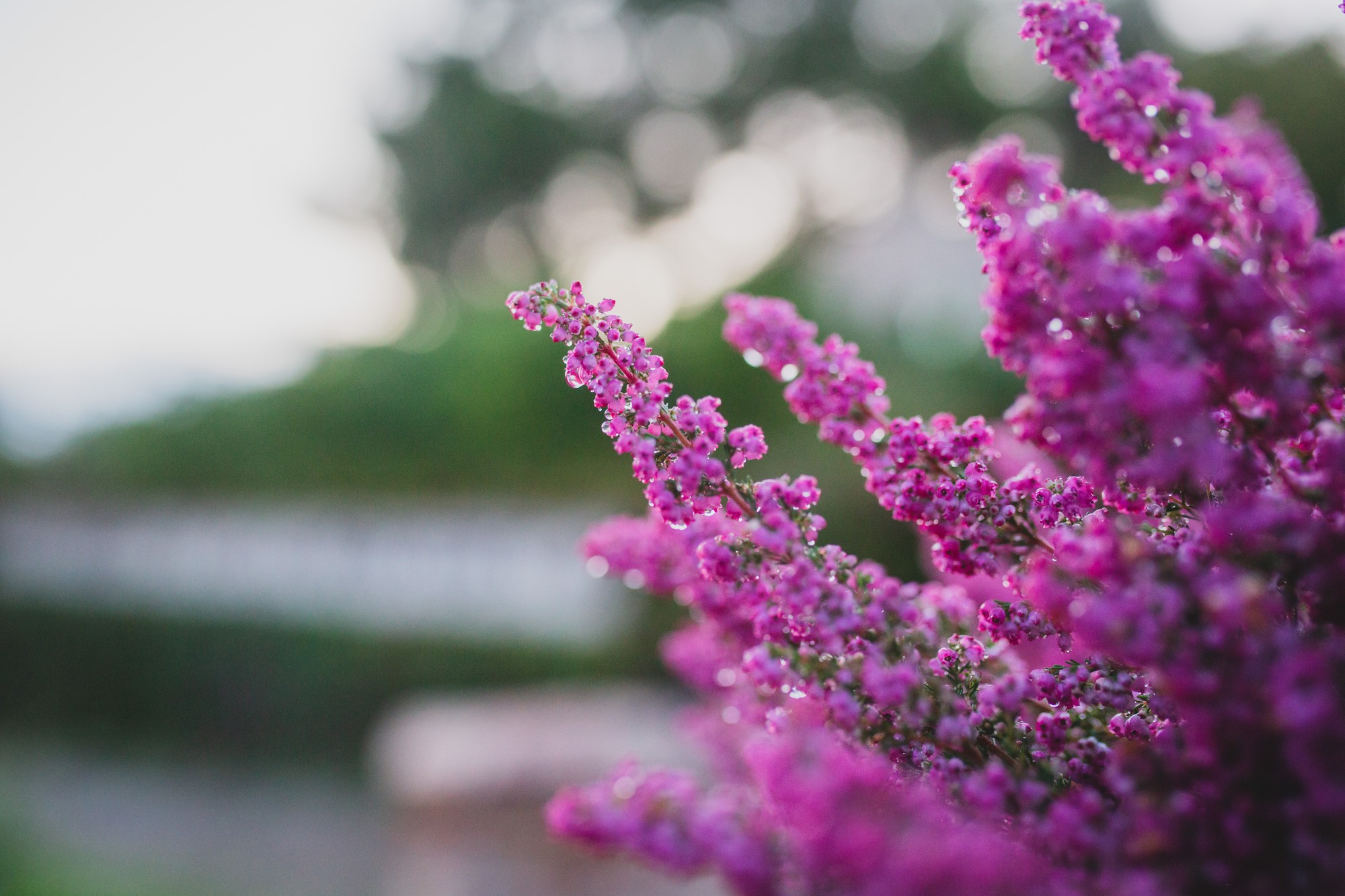 boda_en_el_cigarral_de_las_mercedes_5589