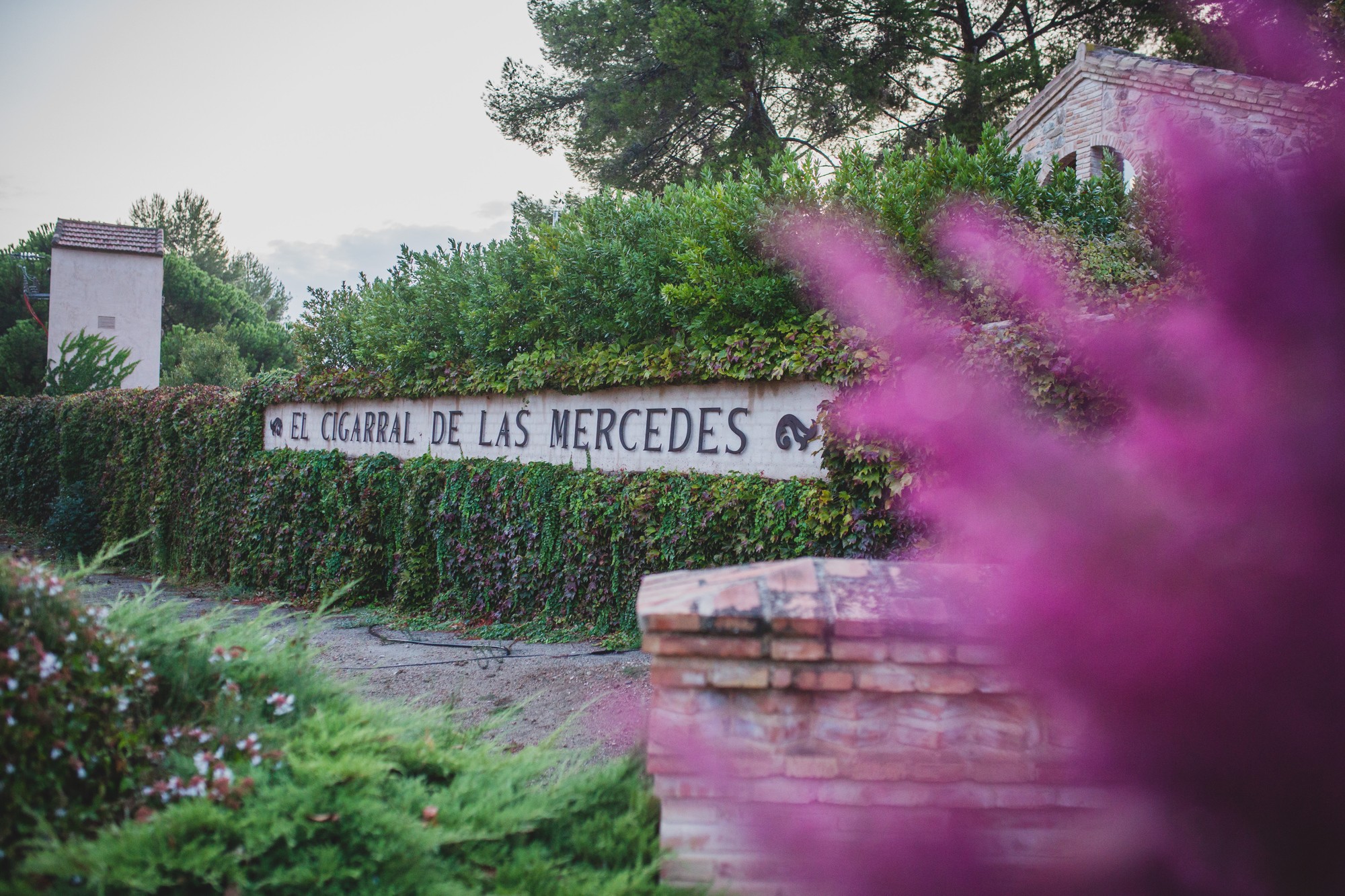 boda_en_el_cigarral_de_las_mercedes_5590