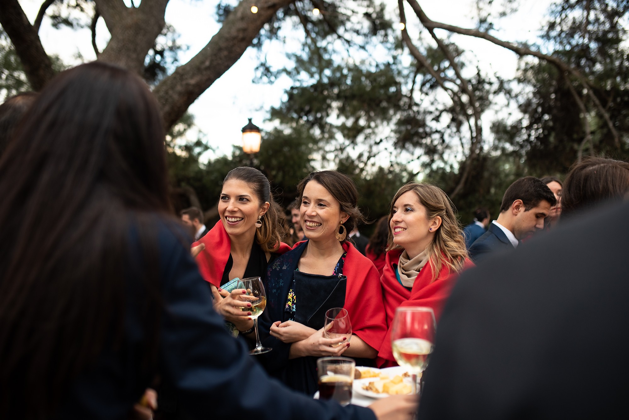 boda-palacio-negralejo-fotografos-boda-madrid-a1249