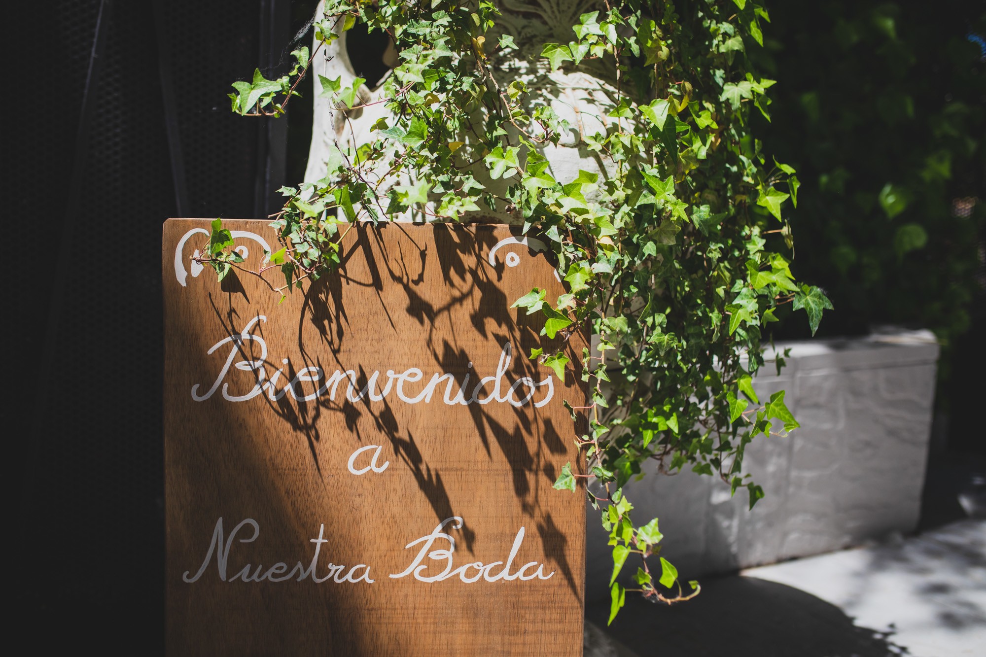 fotografos-boda-Madrid-184326