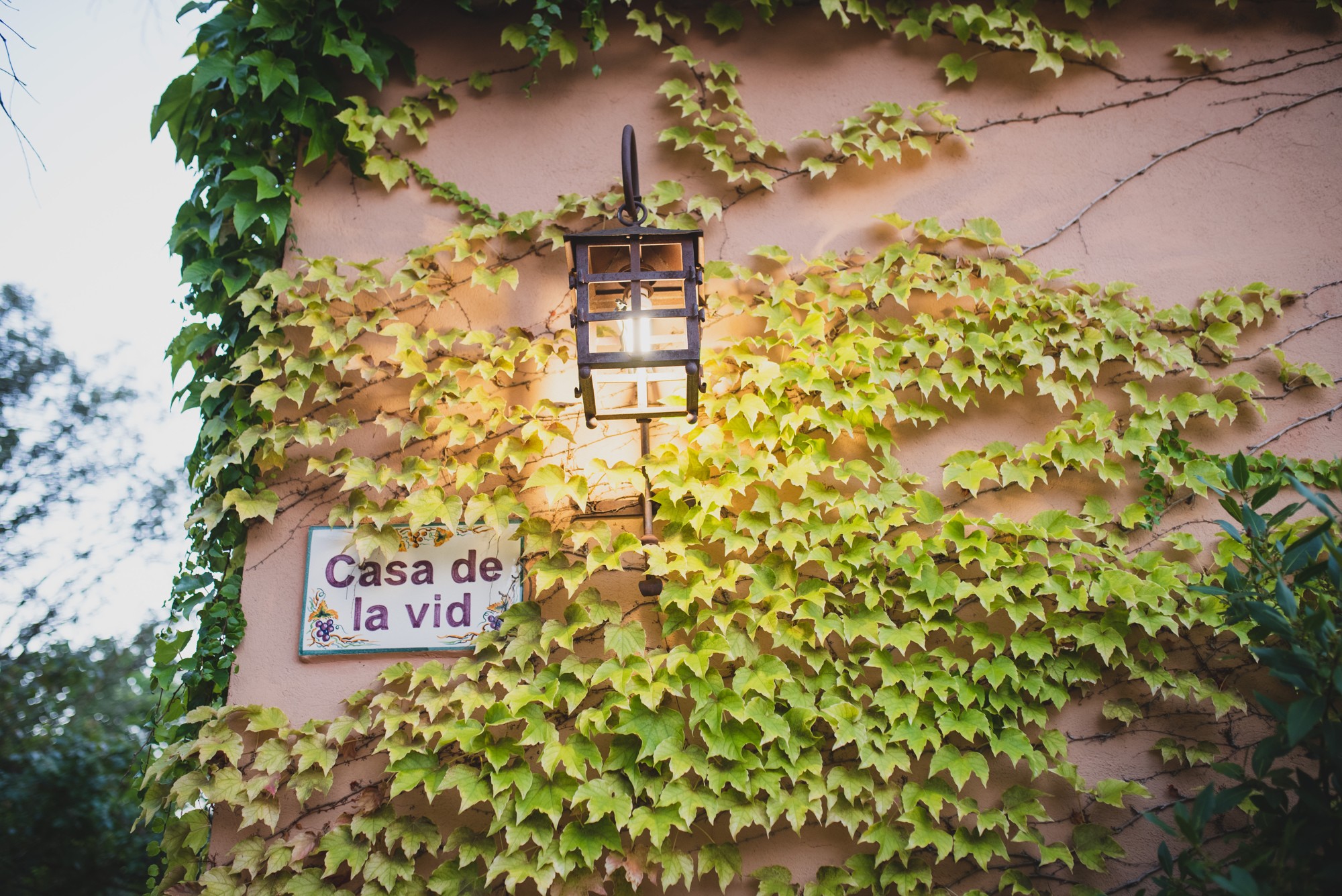 fotografos-boda-madrid-toledo-2684