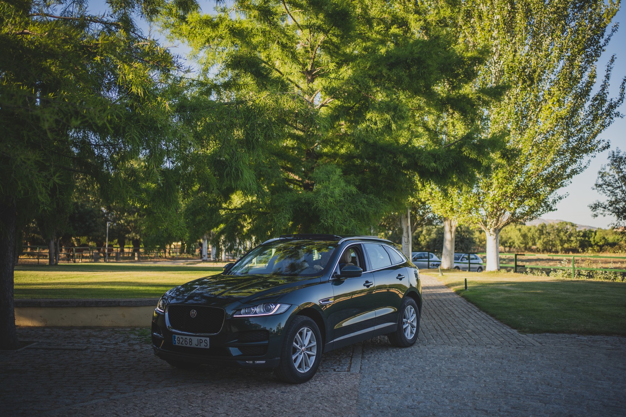 fotografos-boda-los-arcos-de-fuentepizarro-3892
