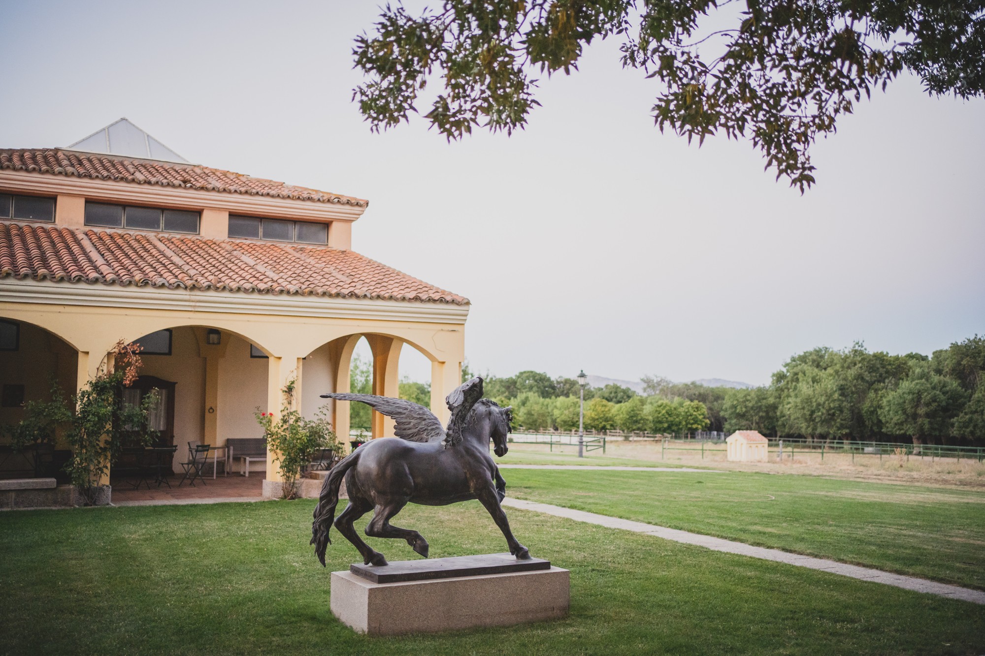 fotografos-boda-los-arcos-de-fuentepizarro-3920