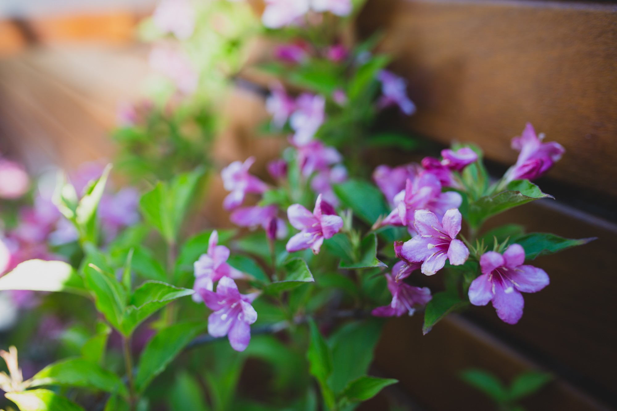 fotografos-boda-Iberostar-Las-Letras-Gran-Via-886131