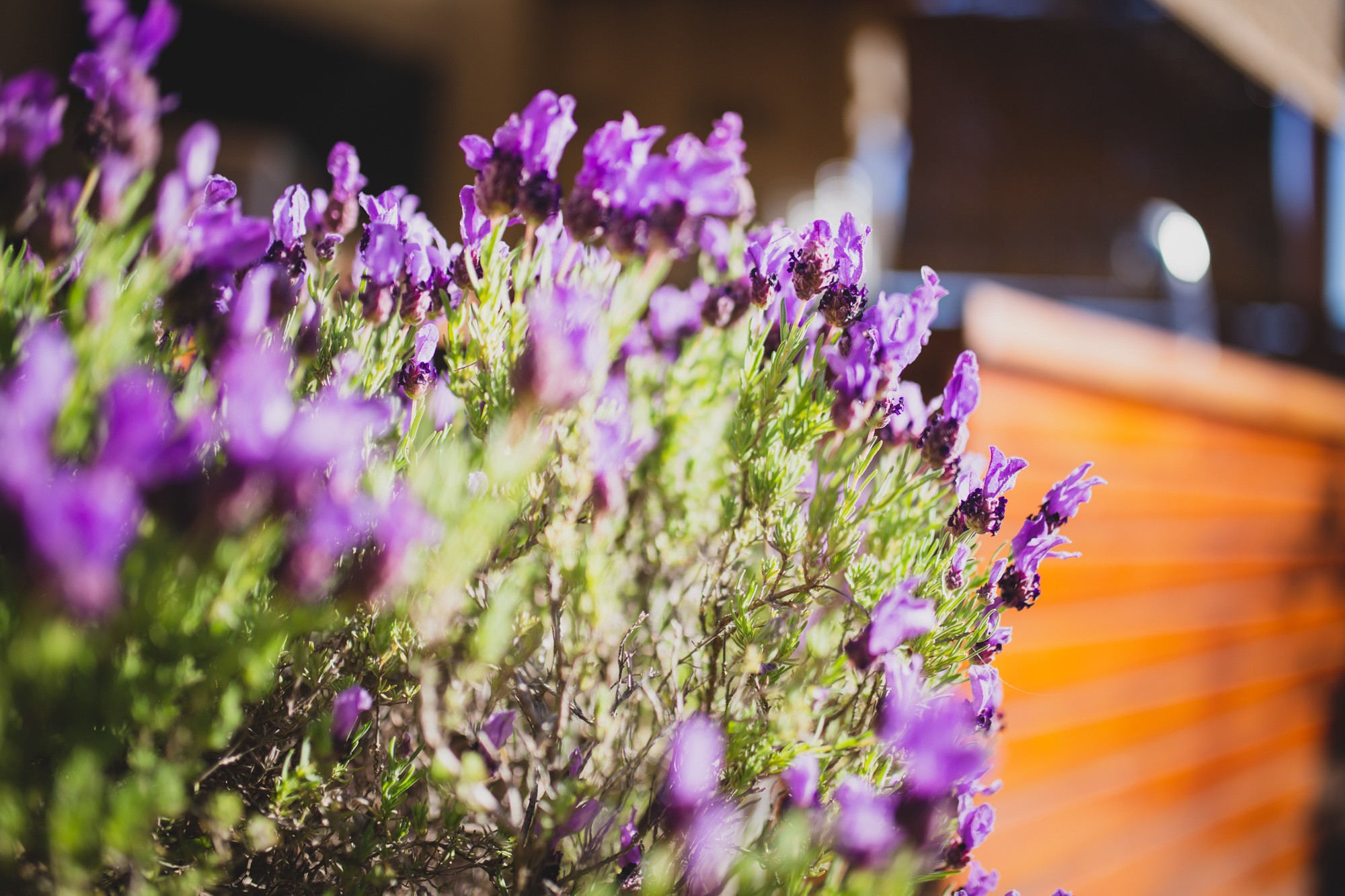 fotografos-boda-Iberostar-Las-Letras-Gran-Via-886134