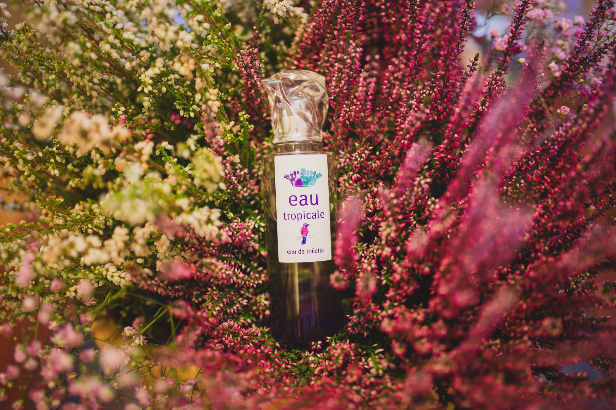 fotografos-boda-el-palacio-del-negralejo-196004