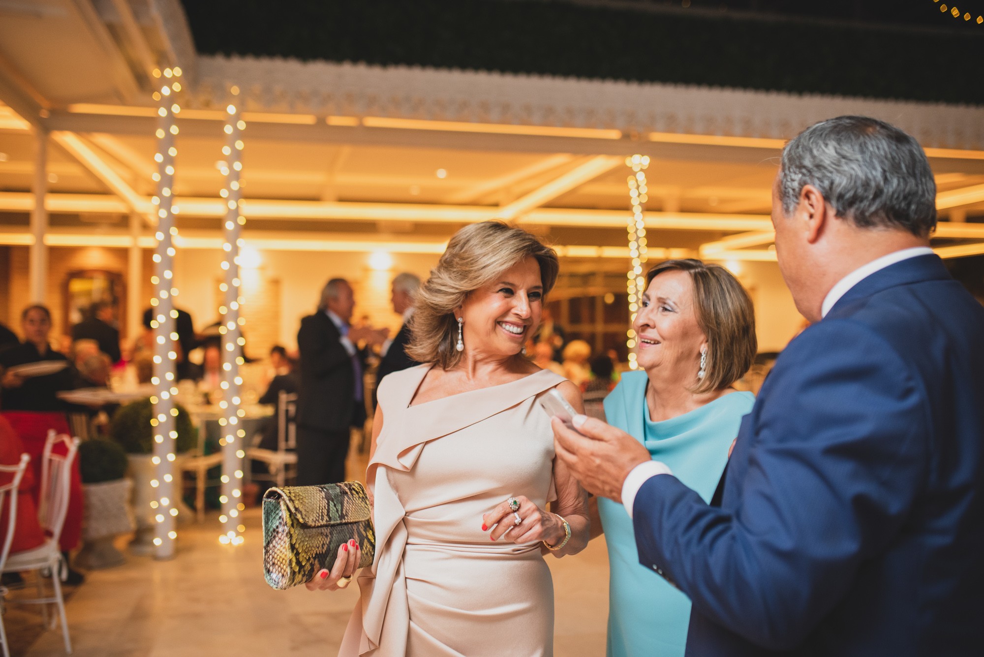 fotografos-boda-el-palacio-del-negralejo-196303