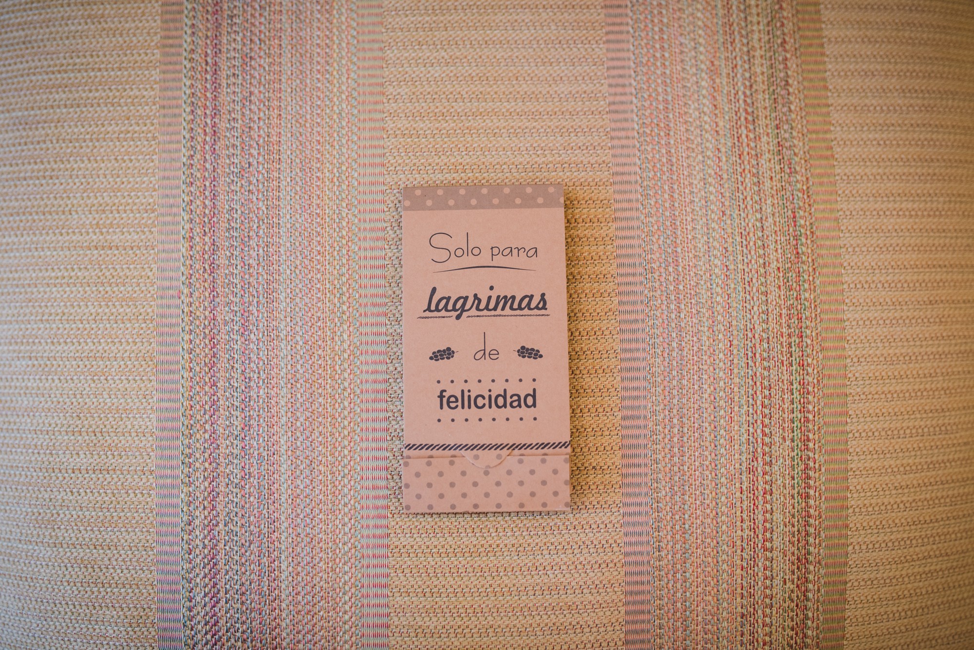 fotografos-boda-El-Molino-De-Torquemada-194042