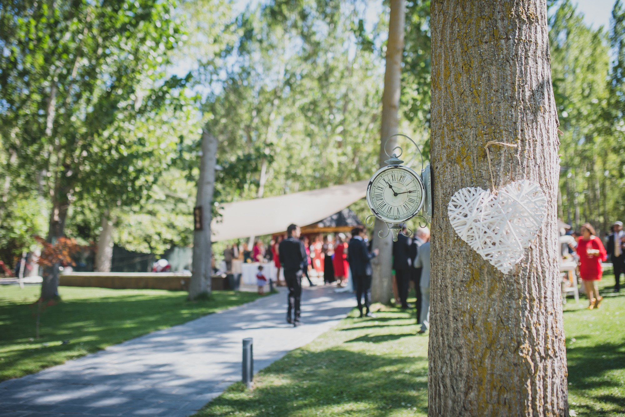 fotografos-boda-El-Molino-De-Torquemada-194215