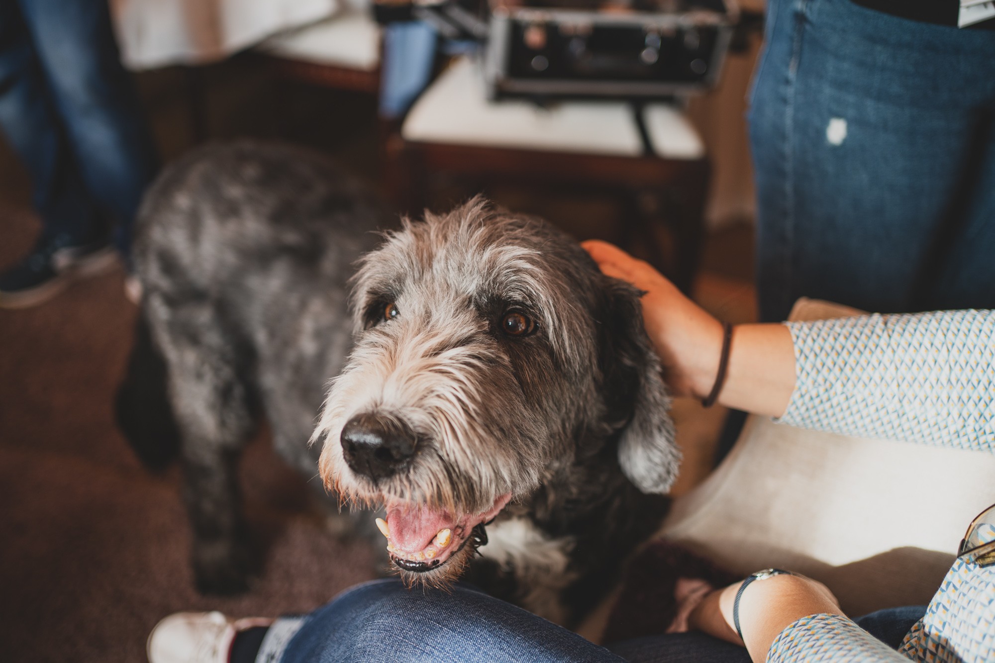 fotografos-boda-Aldea-Santillana-159450