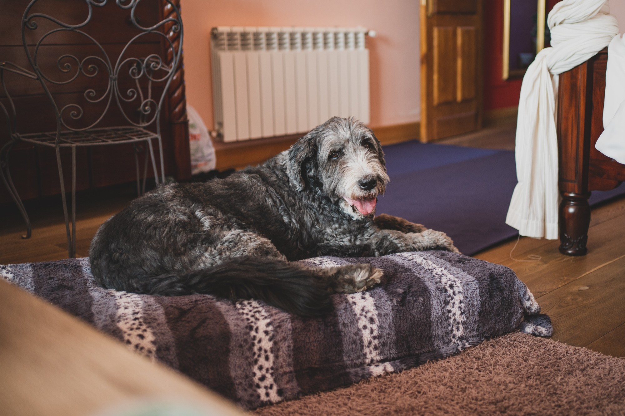 fotografos-boda-Aldea-Santillana-159452