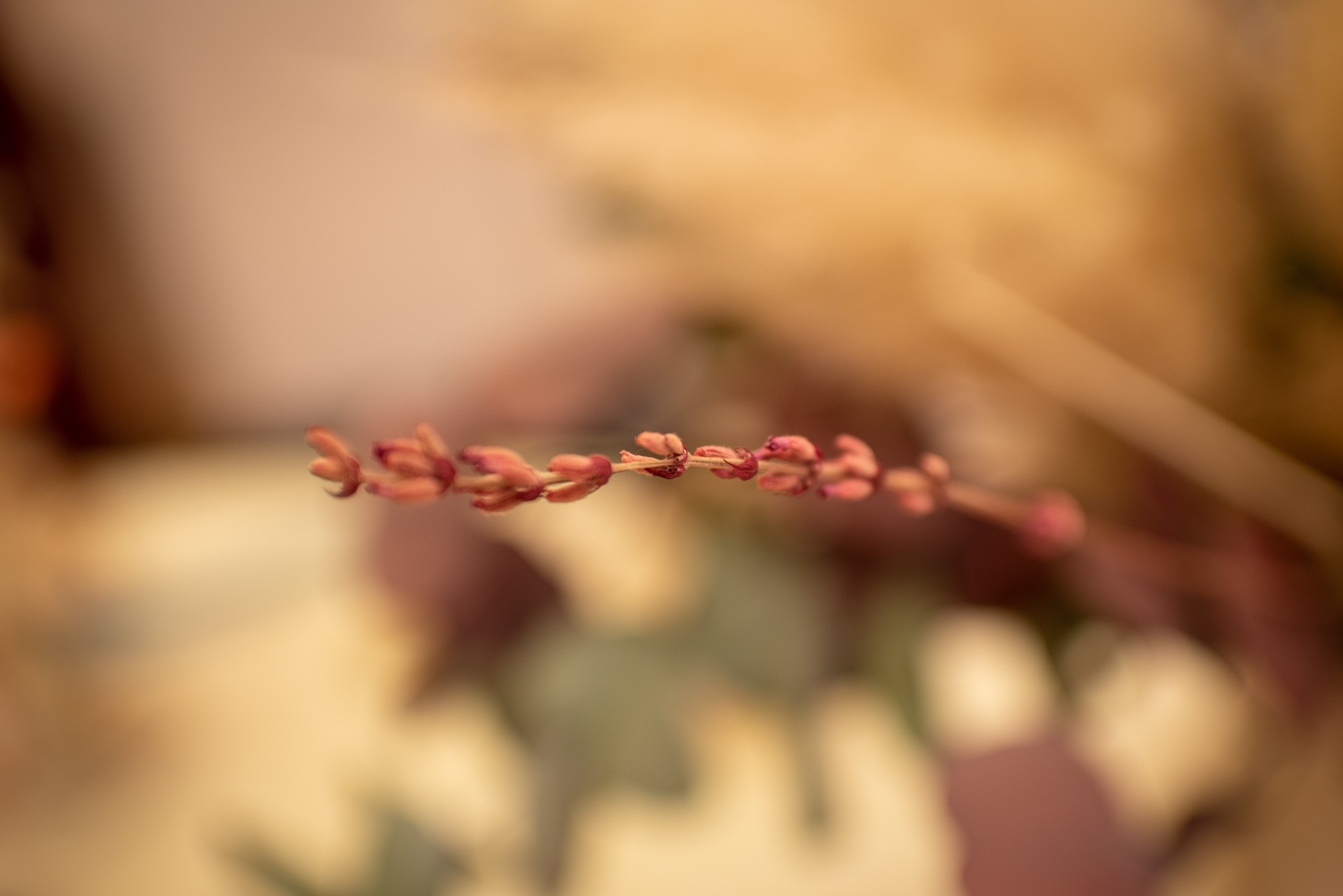 fotografos-bodas-madrid-0018