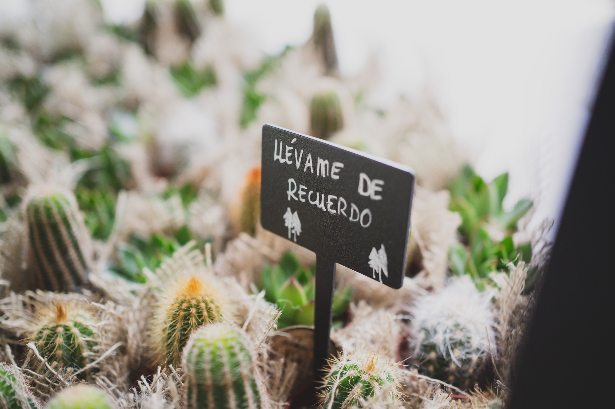 fotografos-boda-madrid-finca-villamaria-wedding-1184