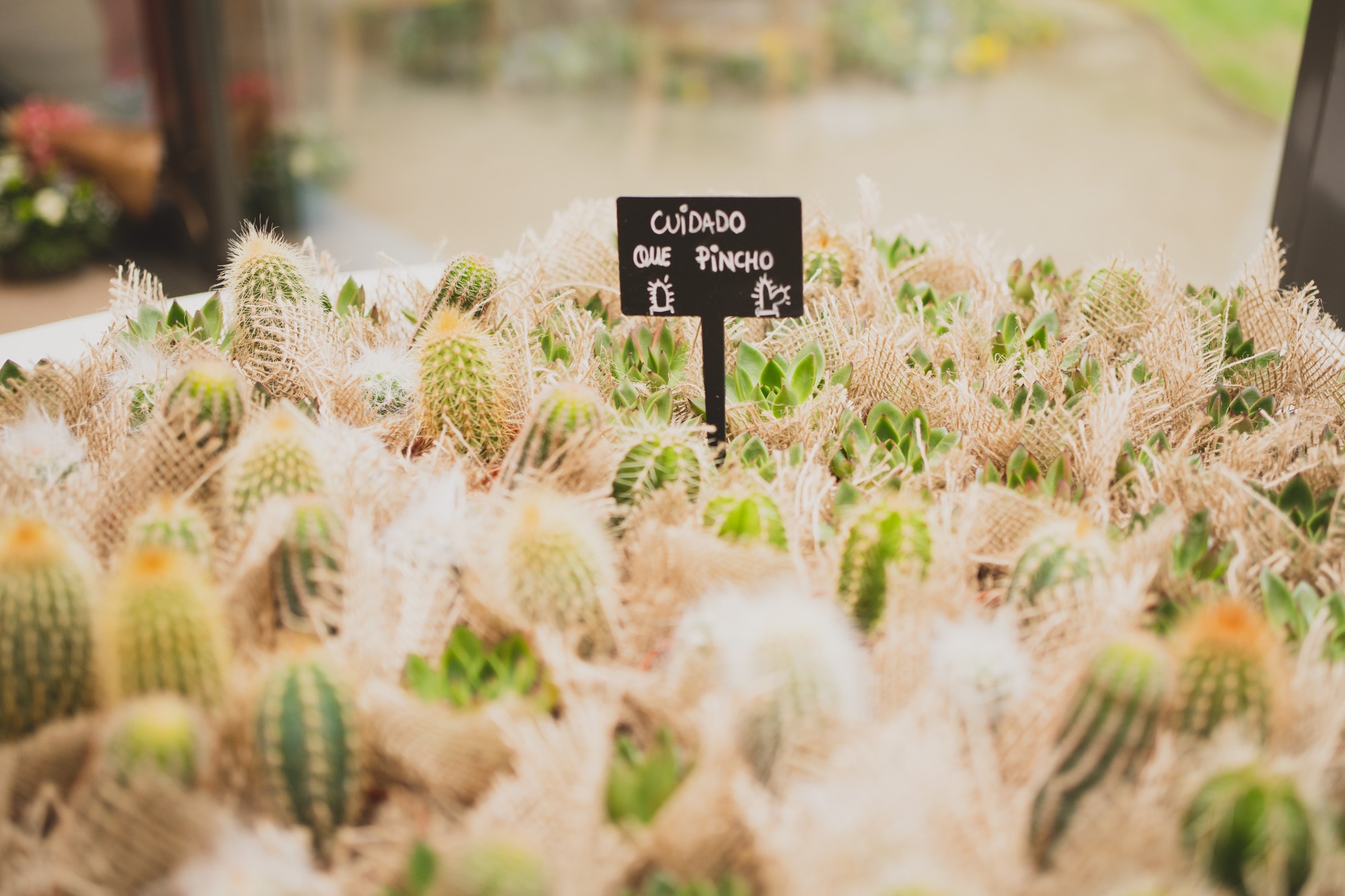 fotografos-boda-madrid-finca-villamaria-wedding-1229