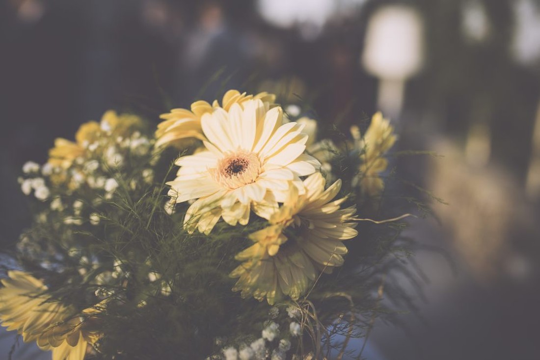 fotografo_boda_san_antonio-161