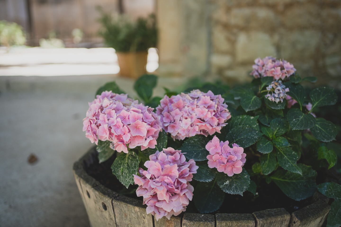 fotografo-boda-madrid-monasterio-lupiana-0338