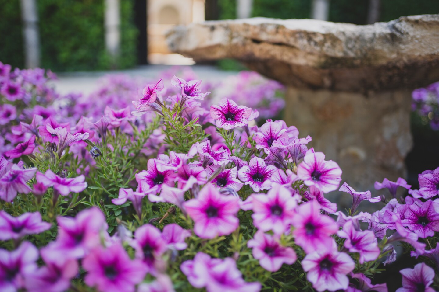 fotografo-boda-madrid-monasterio-lupiana-0346