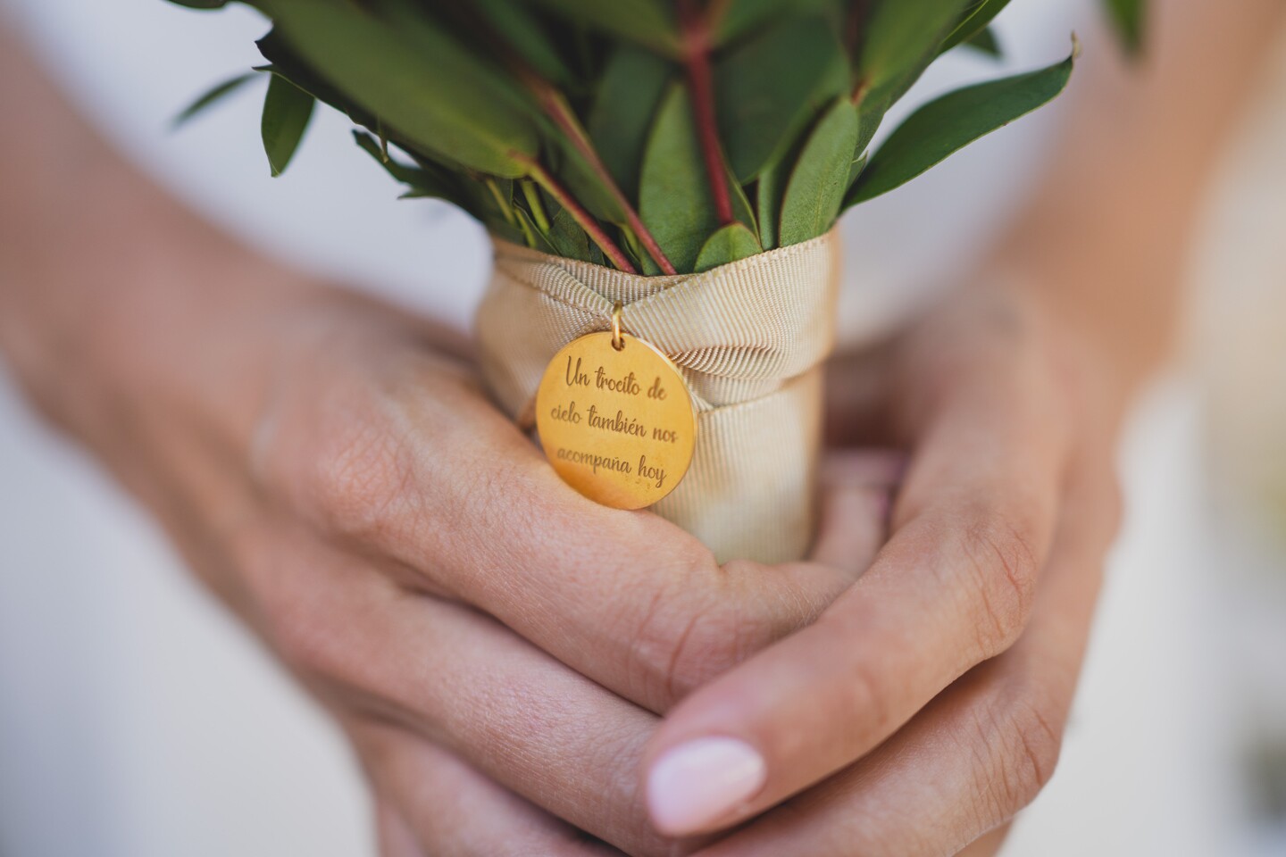 fotografo-boda-madrid-monasterio-lupiana-0732