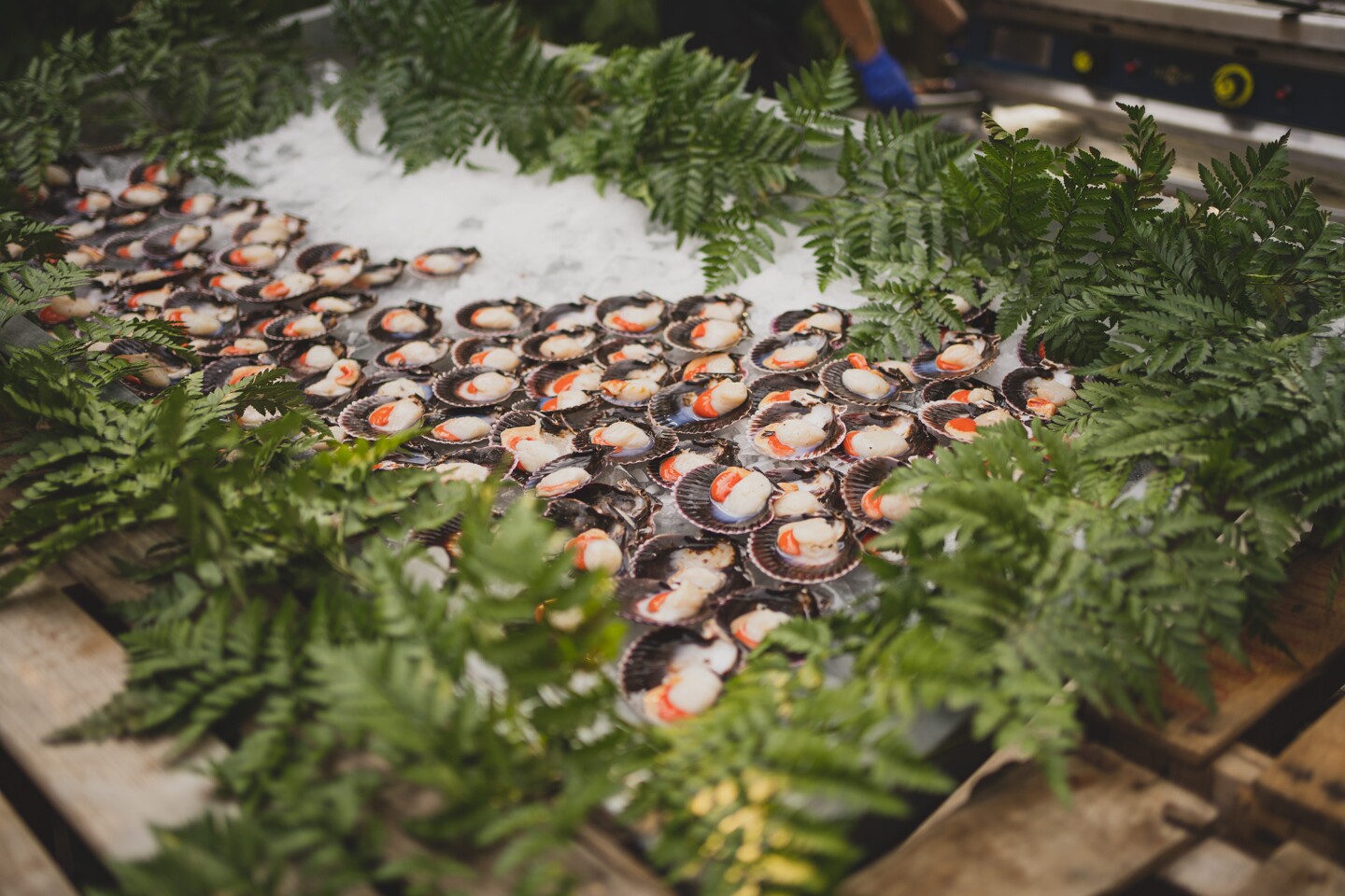 fotografo-boda-madrid-monasterio-lupiana-2141