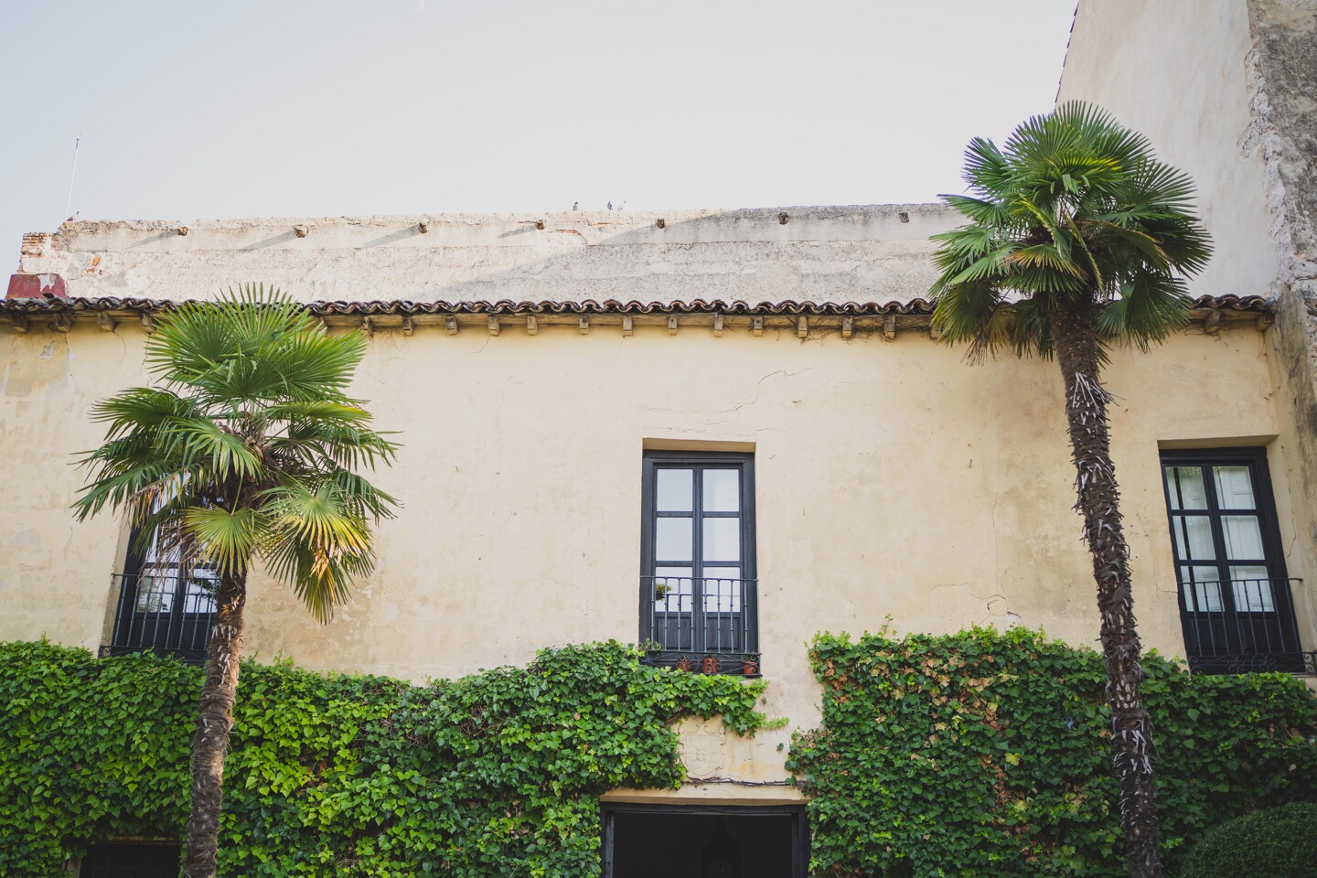fotografo-boda-madrid-monasterio-lupiana-2233