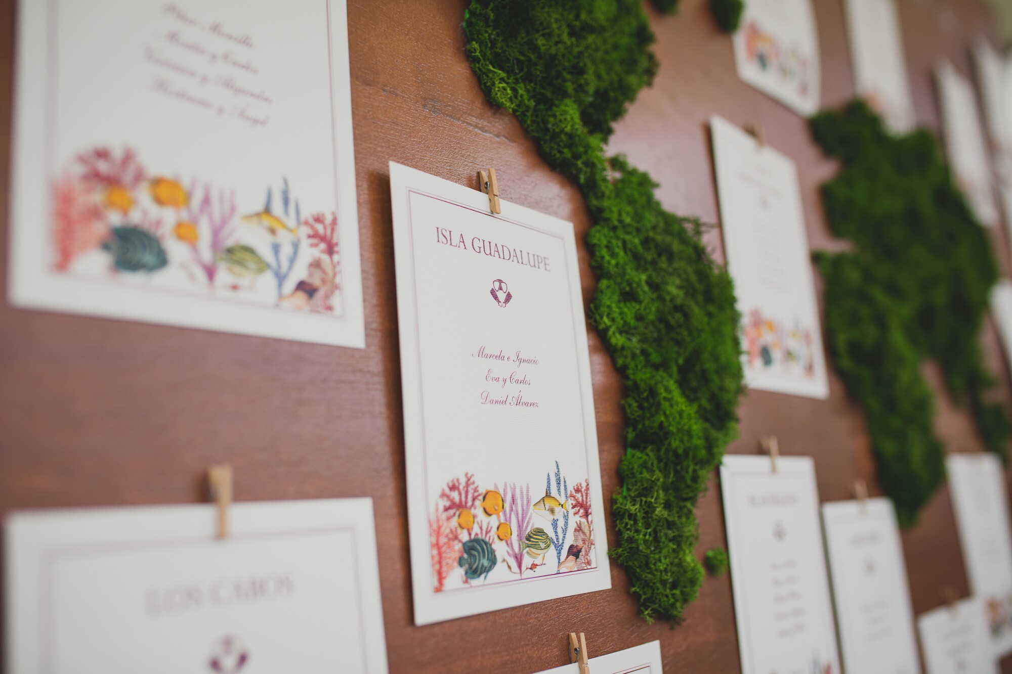 fotografos-boda-madrid-finca-san-antonio-b0734