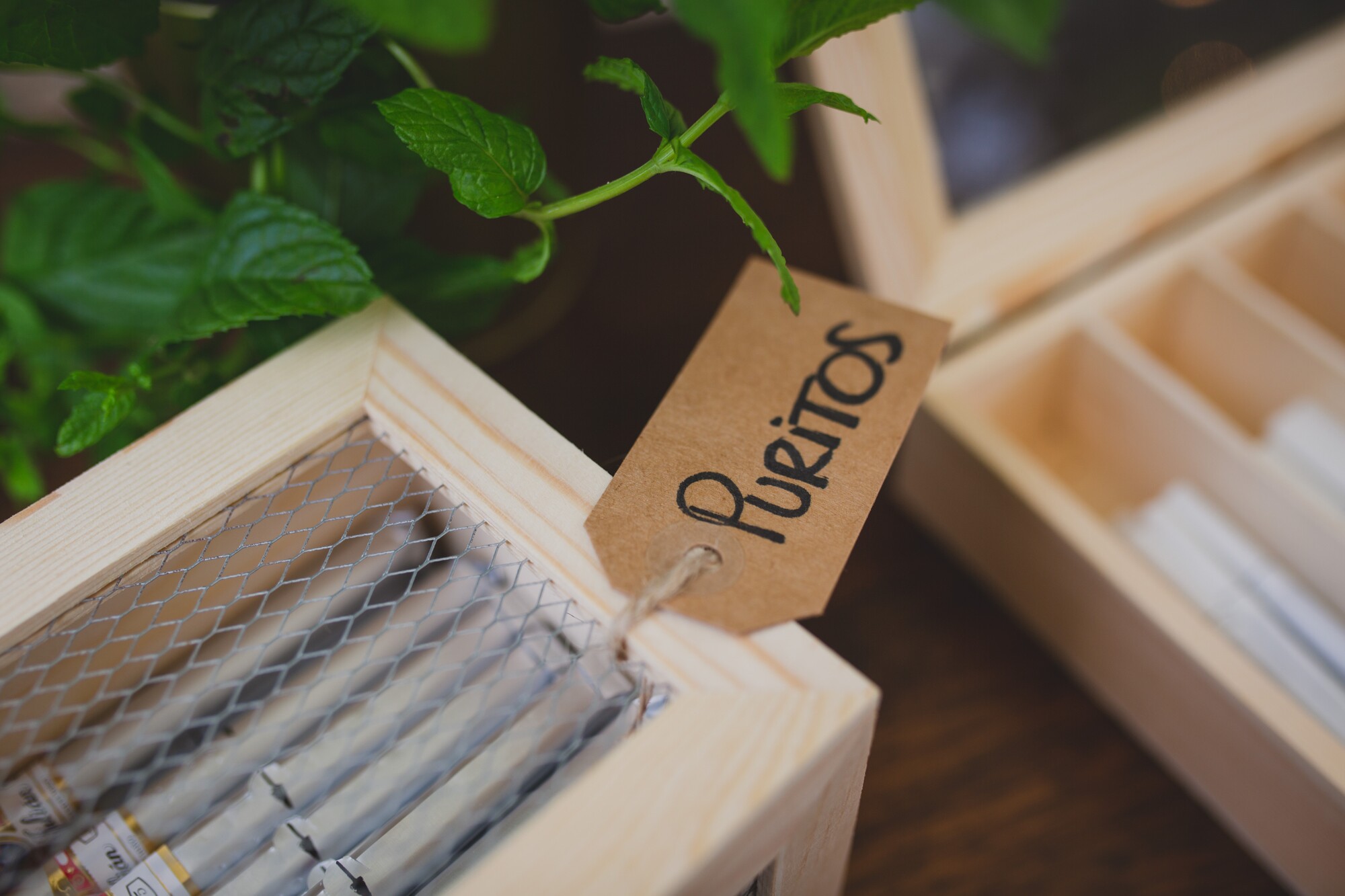 fotografos-boda-madrid-finca-san-antonio-b1156