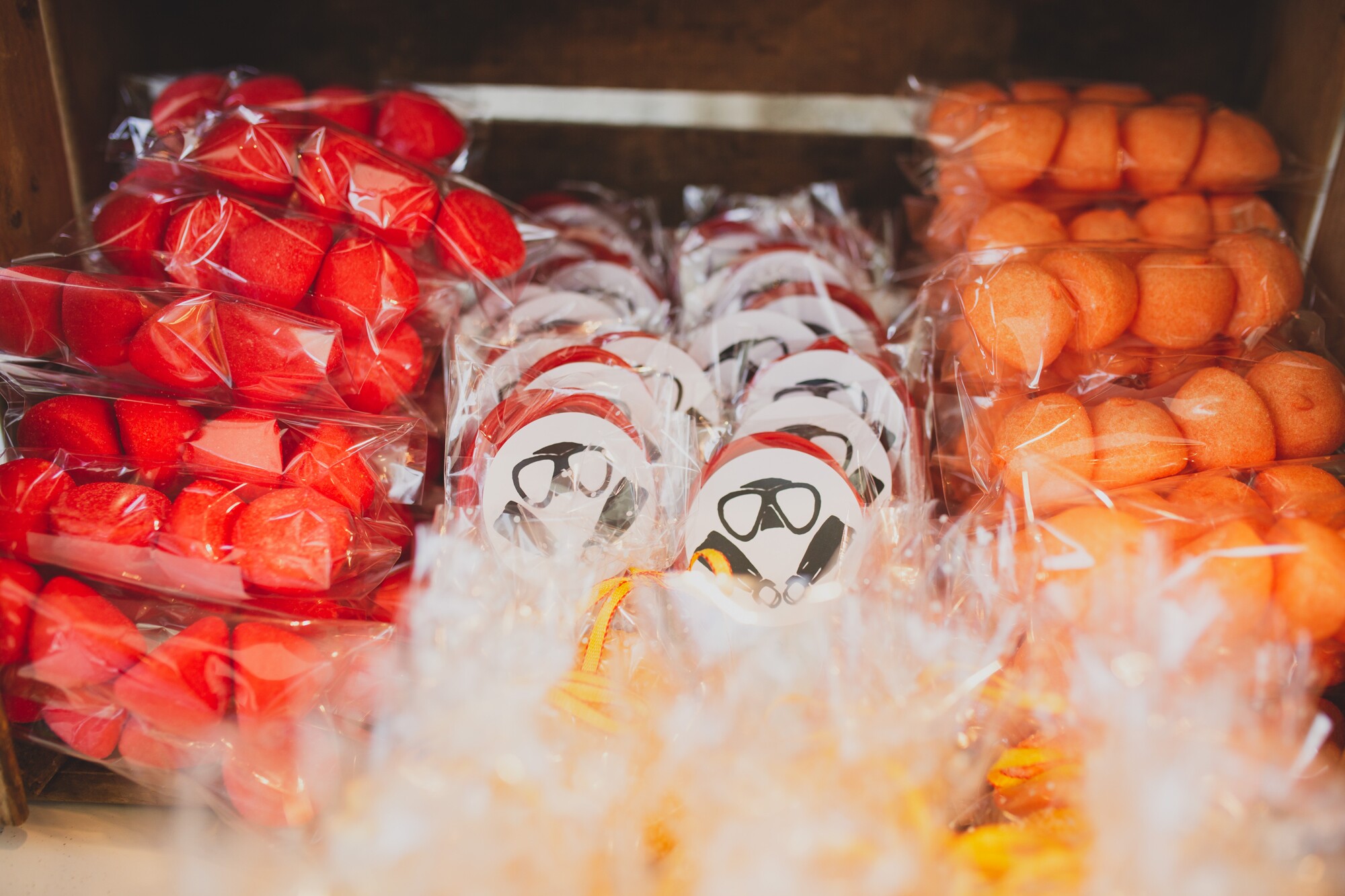 fotografos-boda-madrid-finca-san-antonio-b1168