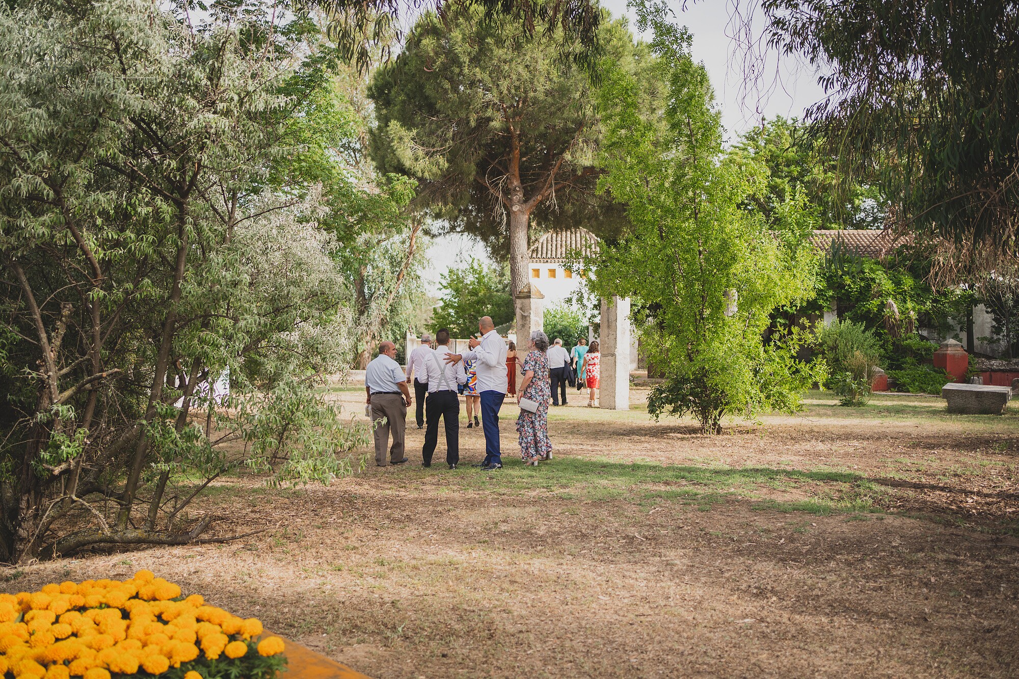 fotografos-boda-madrid-054773