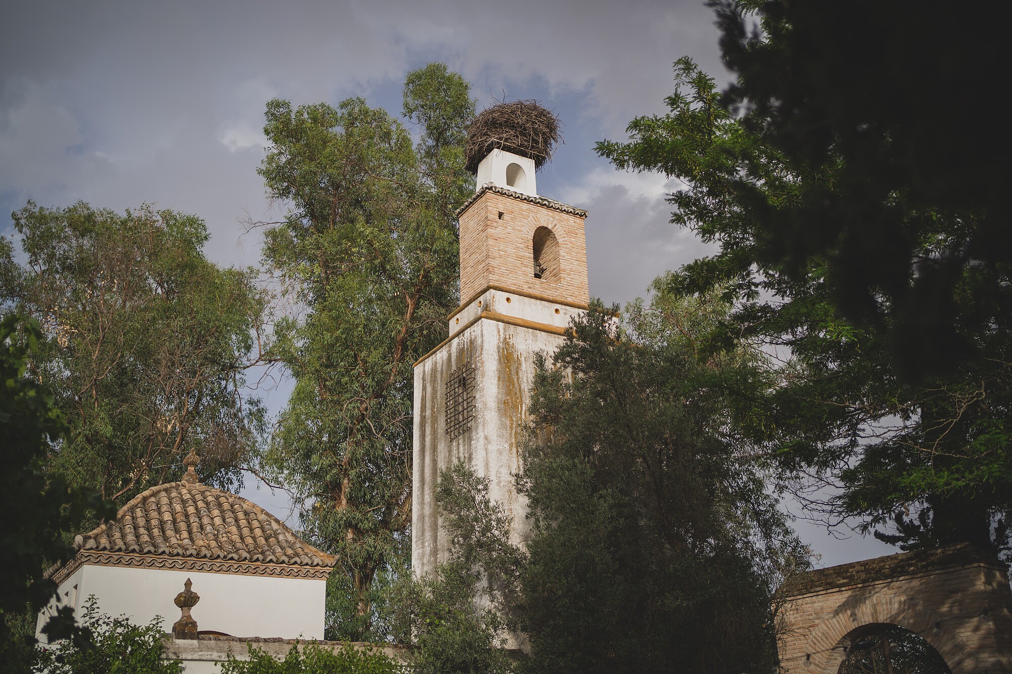fotografos-boda-madrid-054810