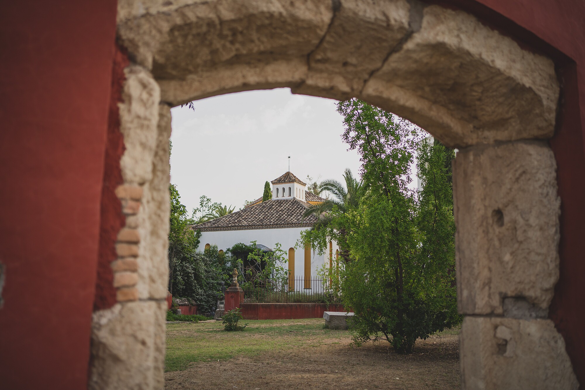 fotografos-boda-madrid-054832